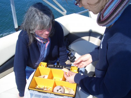 The barrier islands of Ria Formosa by boat